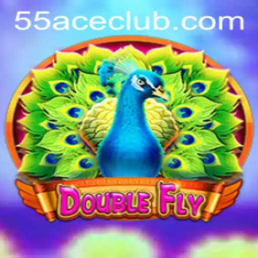 Explore the Exciting World of DoubleFly and its Innovative Gameplay