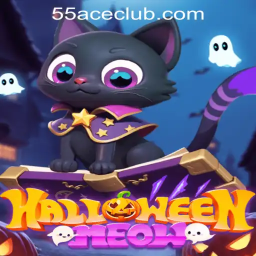 Dive into HalloweenMeow: A Spooky Adventure on 55Ace App